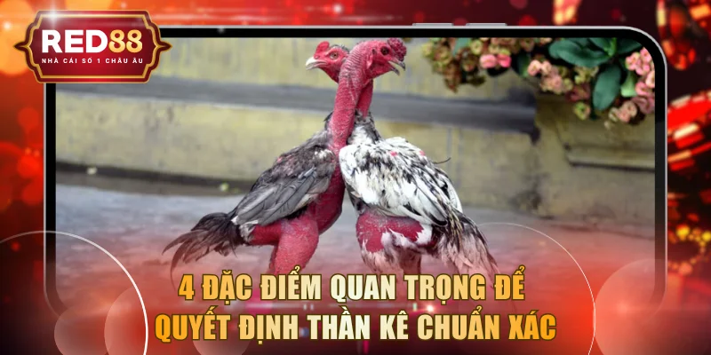 4 đặc điểm quan trọng để quyết định thần kê chuẩn xác