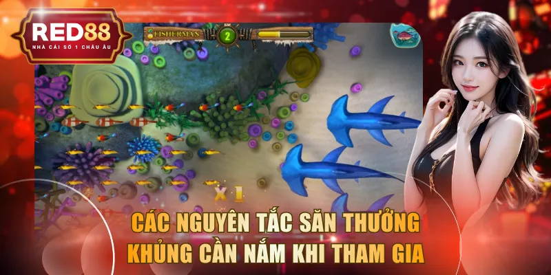 Các nguyên tắc săn thưởng khủng cần nắm khi tham gia