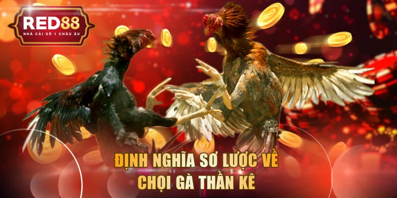 Định nghĩa sơ lược về chọi gà thần kê