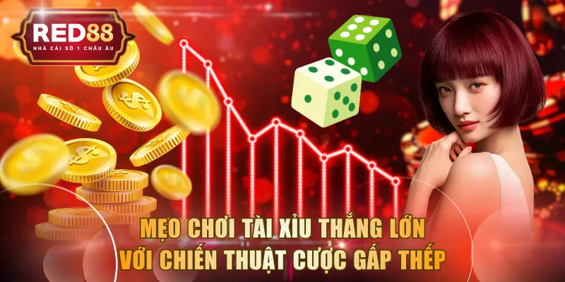 Mẹo chơi Tài Xỉu thắng lớn với chiến thuật cược gấp thếp